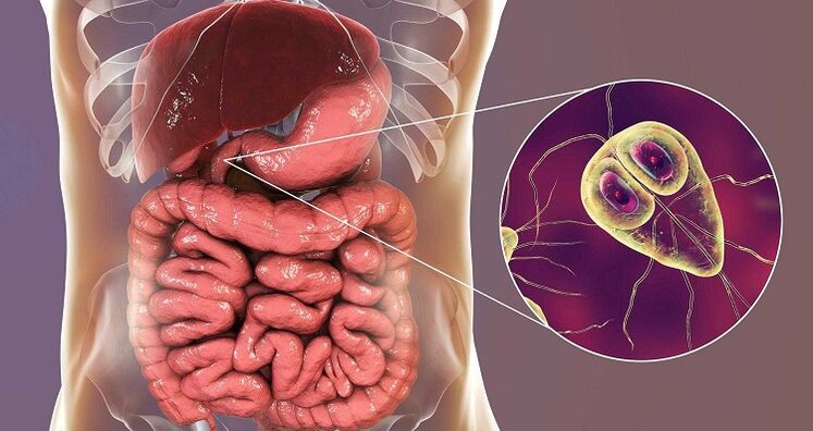 Treat internal parasites with folk remedies