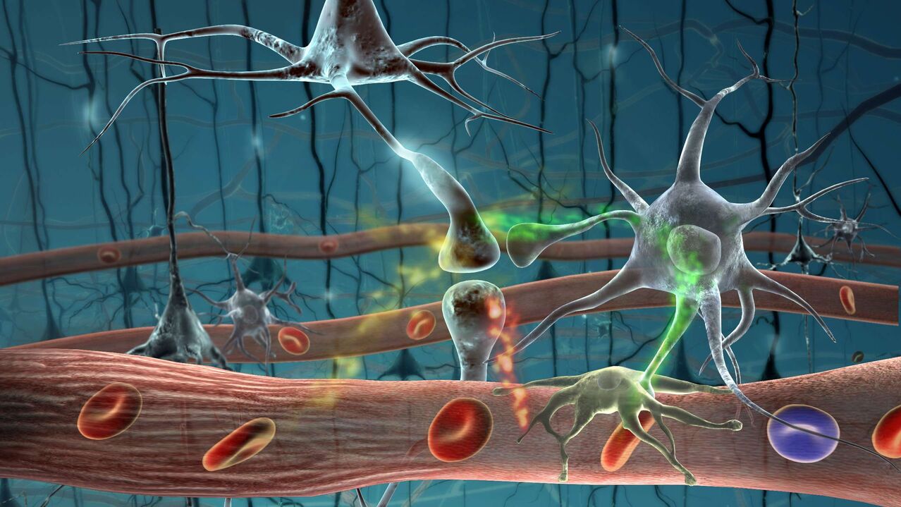 parasite cells in human body