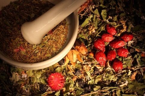 Herbal remedies to remove internal parasites