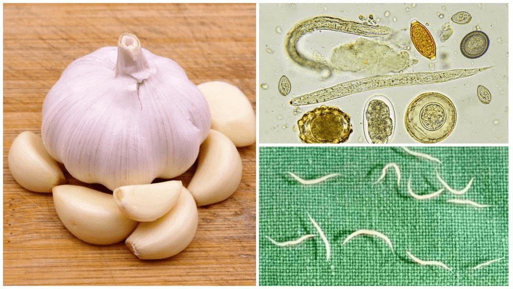 Parasites in the folk methods of human body