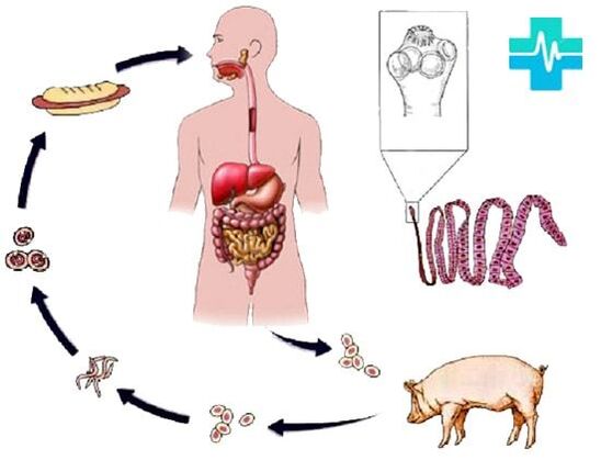 Infection method